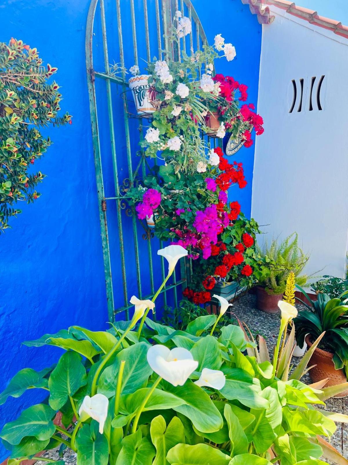 צ'יפיונה Hostal El Faro מראה חיצוני תמונה
